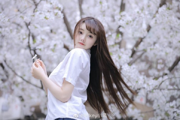 雍正王朝